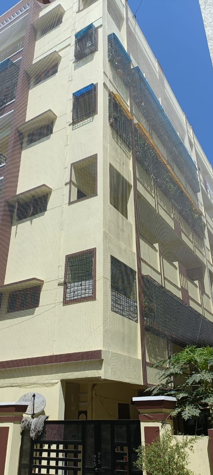 Safety Nets in nagapur